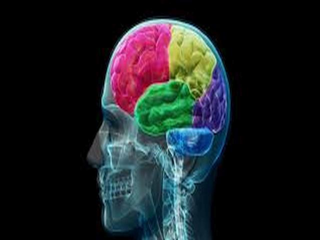 neuromkt