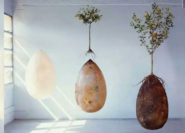 capsula mundi