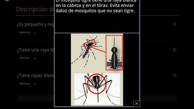 Una app para controlar al mosquito transmisor del dengue Una app para controlar al mosquito transmisor del dengue