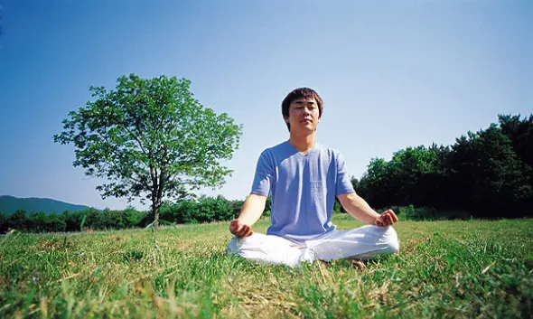 Efectos de la Meditación en las áreas cerebrales