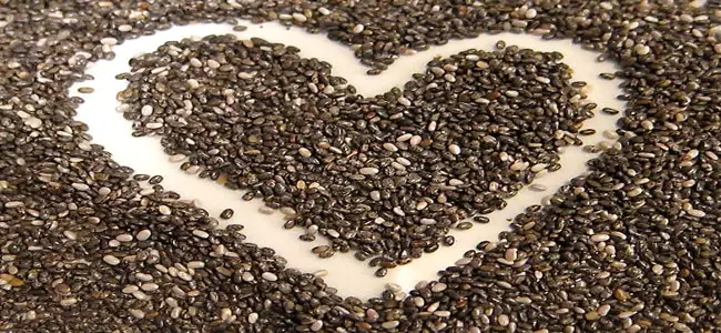 semillas Semillas y concentración de vida: cómo utilizar las semillas para mejorar la nutrición