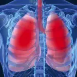 explicacion del funcionamiento de los pulmones