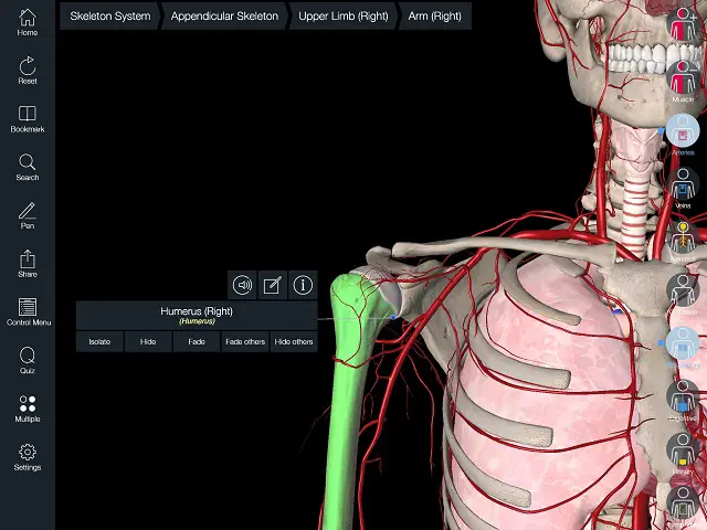 essential anatomy 3 for windows essential anatomy 3 for windows