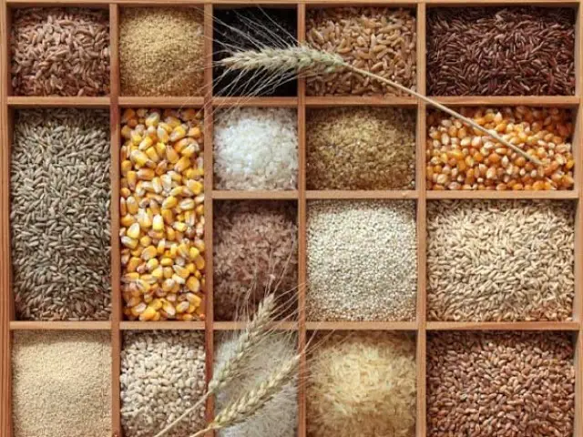 granos y cerales