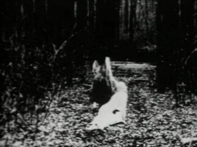 Películas que desafían la percepción 2 Begotten