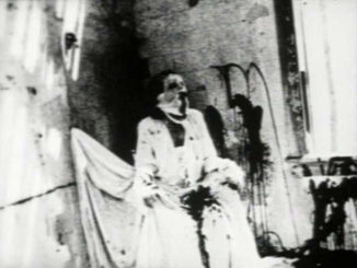 Begotten