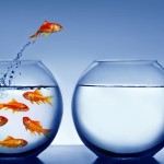 coaching educativo curso online