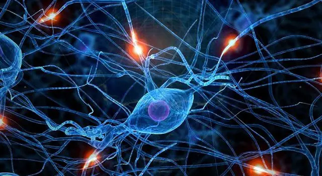 Cómo afecta el uso de Internet en la neuroplasticidad (Parte I) 1 La revolución digital está transformando para siempre, otra vez, la percepción del mundo físico.