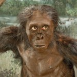 hombre evolucion