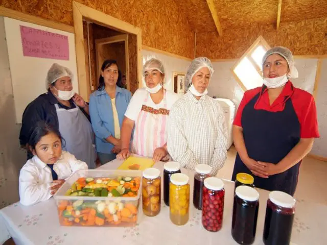 micro-emprendimiento