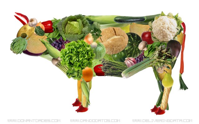 Existen sustitutos vegetales para todos los productos animales de uso común