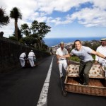 1 Caminho do Comboio Road Madeira Portugal