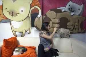 Los 7 negocios más extraños y raros del mundo (Parte I) - Curiosidades