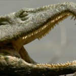 Proterosuchus