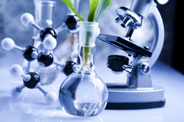 biotecnologia estudiar online