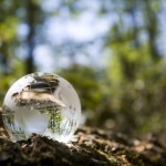 economia politica energetica ambiental