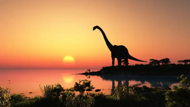 7 falsos mitos que se tienen sobre los dinosaurios 1 5. Los dinosaurios se extinguieron por el impacto de un asteroide