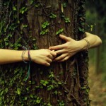 abrazar arboles naturaleza salud