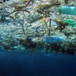 garbage patch