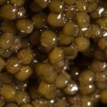 7. Caviar de beluga Almas