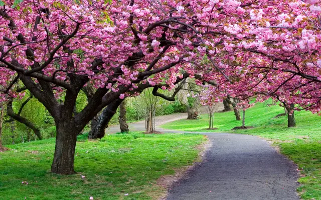 prepararse para la primavera