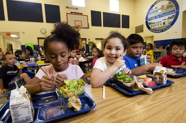 Menus vegetariano en las escuelas para una vida más salu dable