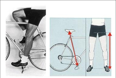 Altura del Asiento del Asiento de la Bicicleta