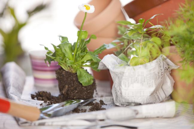 Cómo mejorar mi jardín con papel reciclado 2 #4 Macetas de papel