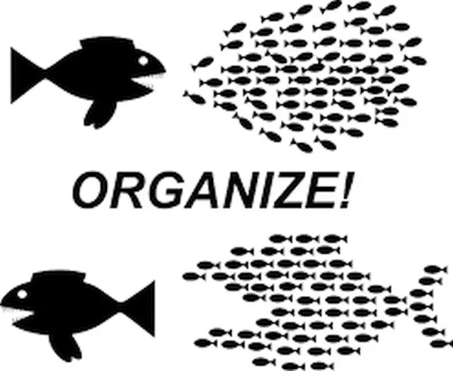 organizar