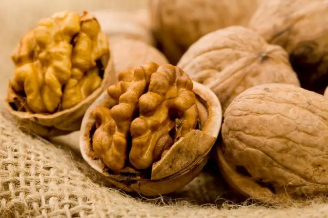 Las Nueces y sus beneficios casi inmediatos para la salud01