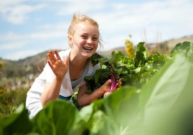 educacion medio ambiental para chicos ecologia infantil