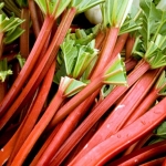Alimentos naturales realmente venenosos y mortales que la gente come (Parte 2) 1 Ruibarbo
