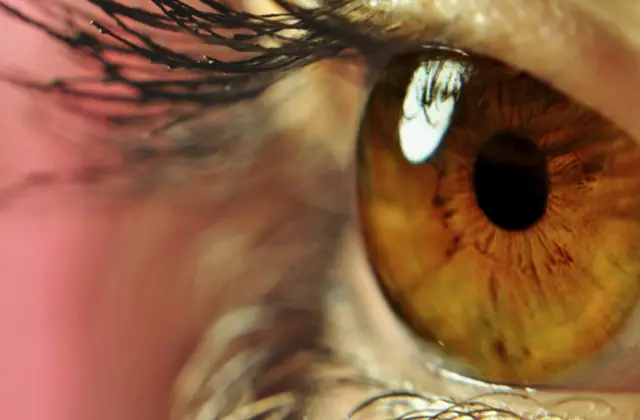 Datos curiosos que Nuestros Ojos revelan acerca de nuestra biología Datos curiosos que Nuestros Ojos revelan acerca de nuestra biología