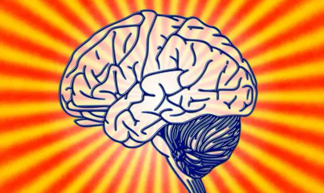 Ejercita tu mente con Fit Brains