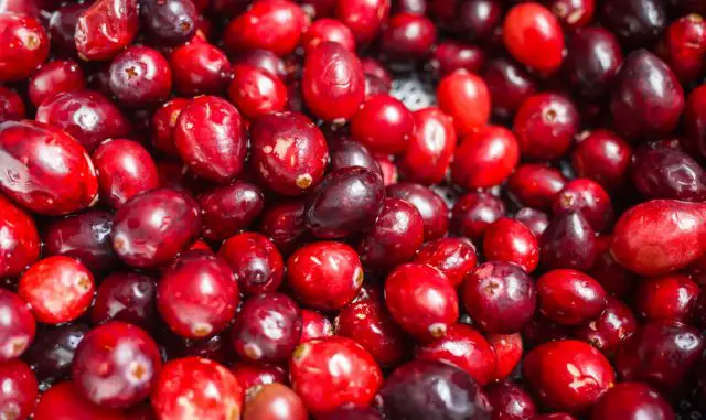 aradanos beneficios nutricionales