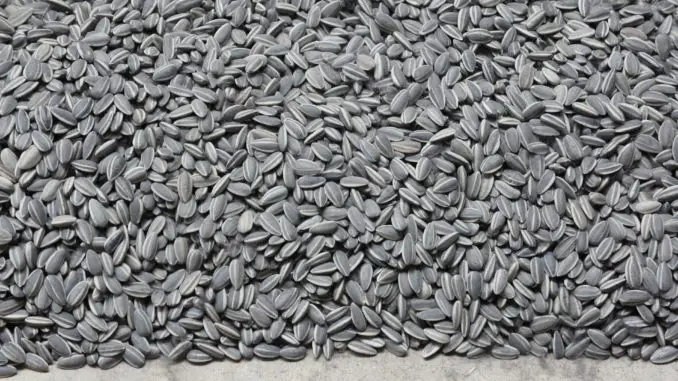Conoce las propiedades de la vitamina E