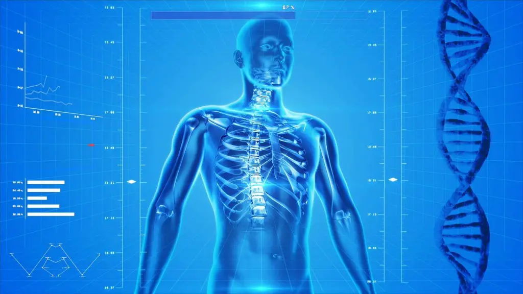 Descubre cómo eres por dentro con la asombrosa Anatomy Learning 1 Demuestra lo aprendido con Anatomy Learning