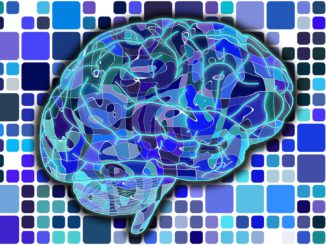 Ejercita tu salud cerebral con NeuroNation