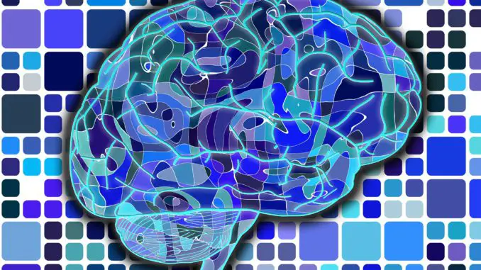 Ejercita tu salud cerebral con NeuroNation
