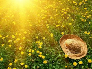 consejos combatir alergia sol solar alergias verano