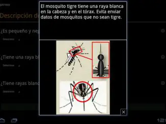 Una app para controlar al mosquito transmisor del dengue