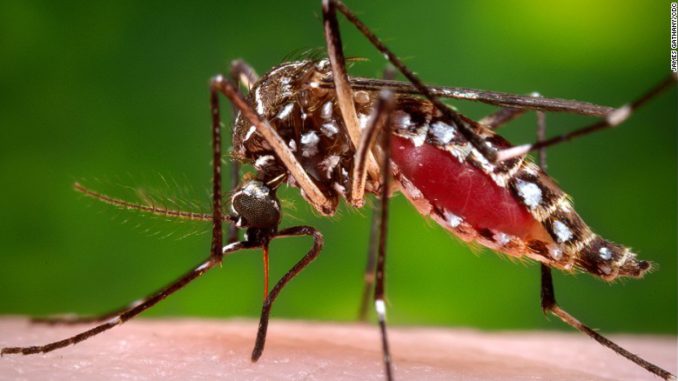 Estrategias sobre cómo prevenir el dengue