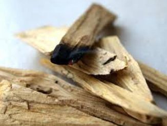 Propiedades del Palo Santo