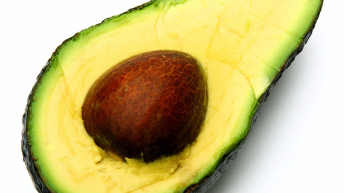 Beneficios de la palta en la alimentación‏