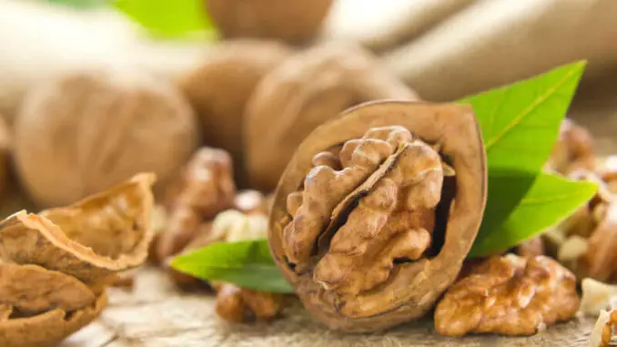 6 alimentos saludables para tu cerebro 6 alimentos saludables para tu cerebro
