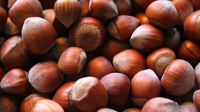 Por qué comer avellanas. Alimentación saludable Por qué comer avellanas. Alimentación saludable