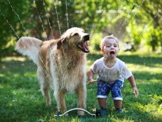 6 cosas que te pasaron cuando fuiste niño